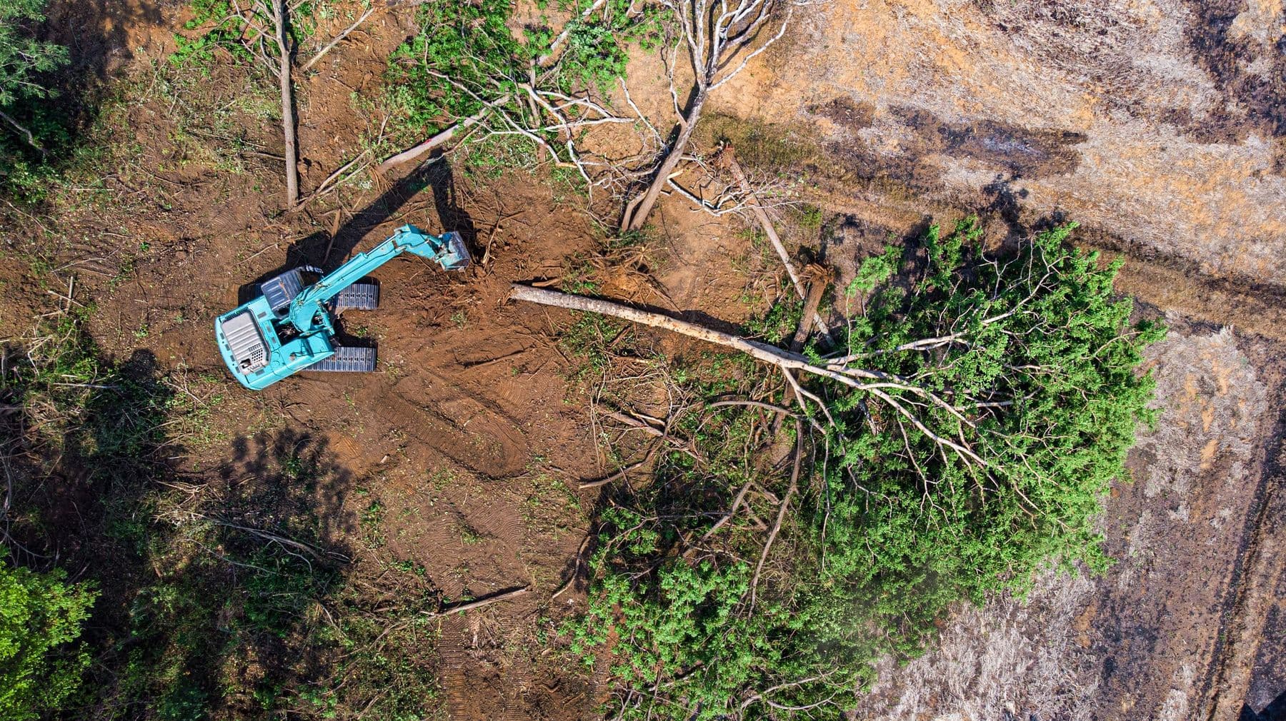 Land Clearing job site in East Texas