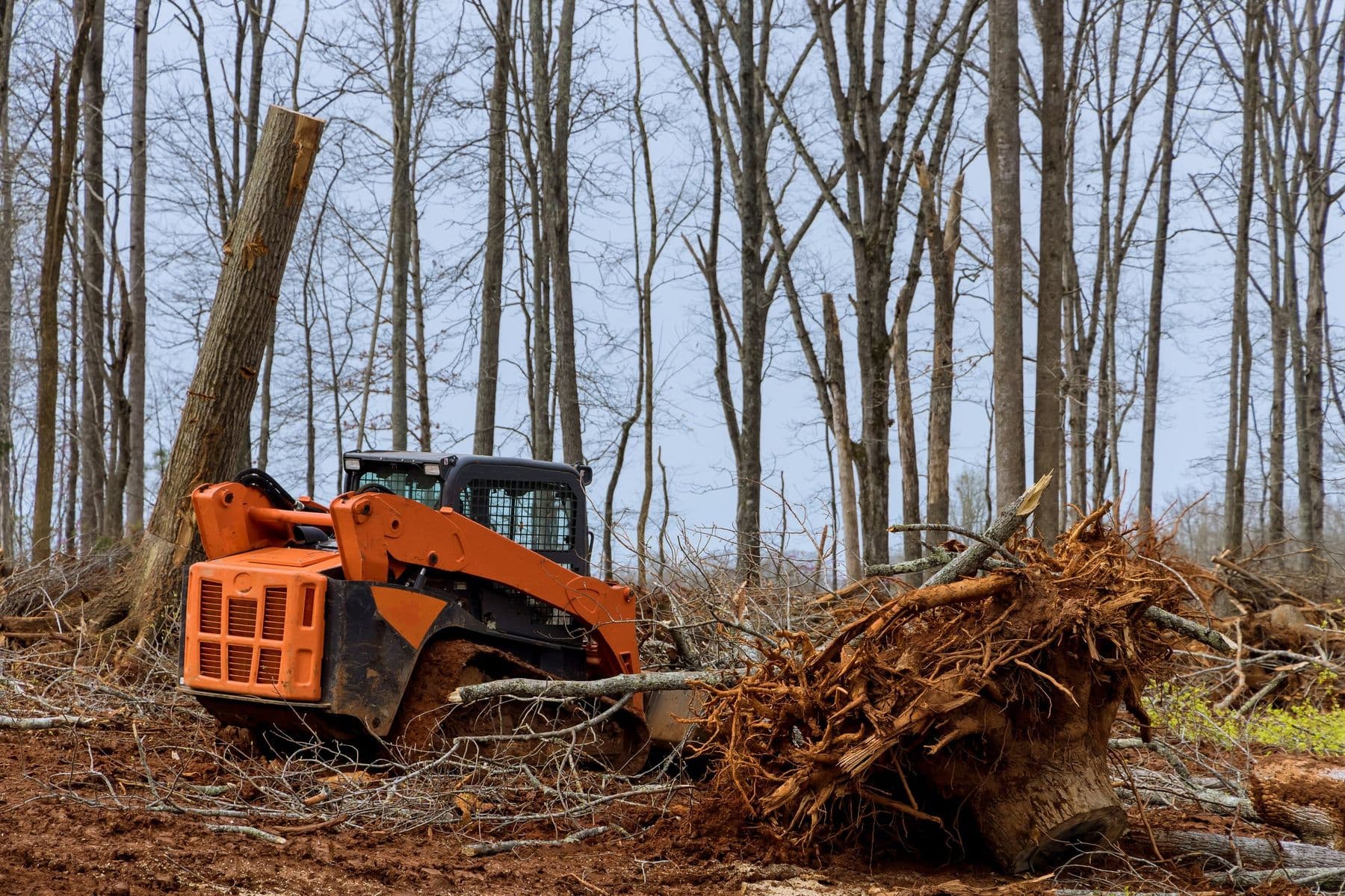 Land Clearing job site in East Texas